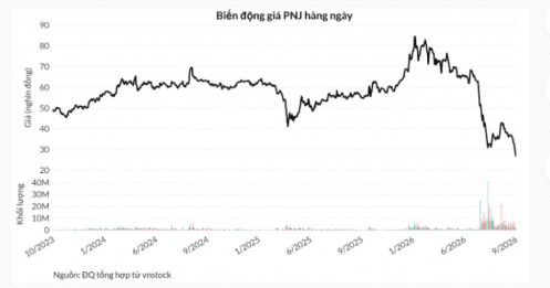 Phép thử với cổ đông tại PNJ