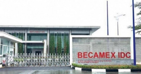 BCM Q2-2026: Sụt giảm mạnh do cách hạch toán mới