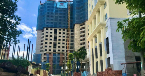 “Suất ngoại giao” và những cú lừa tiền tỷ