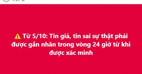 Từ 5/10: Tin giả, tin sai sự thật phải được gắn nhãn trong vòng 24 giờ từ khi được xác minh