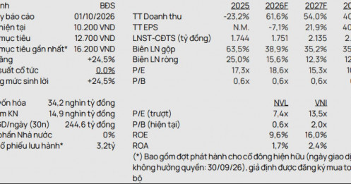 Novaland: Vietcap giảm mạnh 71% dự báo doanh số, hơn 231.000 tỷ đồng backlog sẽ đi về đâu?