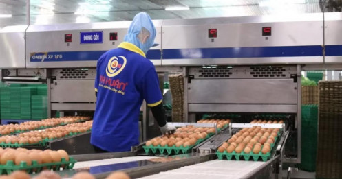 Nợ hơn 600 tỷ đồng, chủ thương hiệu trứng gà Ba Huân bị ngân hàng xiết nợ loạt bất động sản, chuồng trại, máy móc