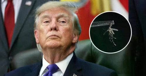 Tổng thống Trump "tuyên chiến" với....muỗi
