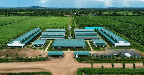 Cuộc đua nghìn tỷ trên ruộng đồng