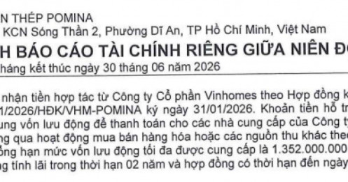 Thép Pomina lỗ chồng lỗ, Vinhomes tung hơn 1.100 tỷ đồng cứu dòng tiền?