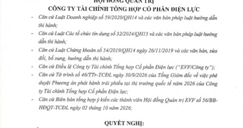 EVF lên kế hoạch phát hành 300 triệu USD trái phiếu quốc tế