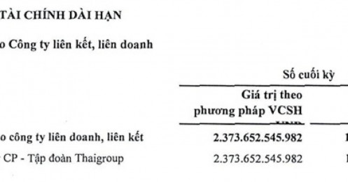 Thaiholdings muốn mua thêm hơn 78 triệu cổ phần Thaigroup