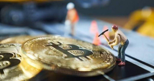 Khảo sát CoinShares: 70% giới giàu có Mỹ - Châu Âu đang nắm giữ Crypto
