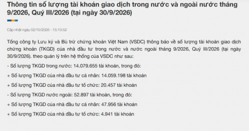 Gần 245.000 tài khoản chứng khoán “xếp hàng” gia nhập thị trường trong tháng 9