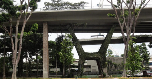 Các đô thị trên thế giới phủ xanh công trình giao thông thế nào?