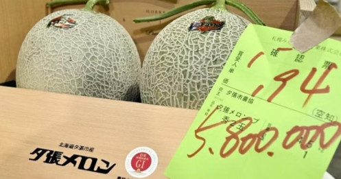 Bên trong cặp dưa lưới gần 1 tỷ đồng: Có gì mà giới siêu giàu tranh nhau mua?