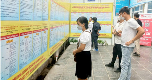 Quý III/2026: 1,6 triệu thanh niên không có việc làm
