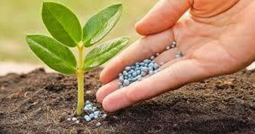 Ngành sản xuất phân bón: Khả năng giảm thuế xuất khẩu về 0% - Tích cực cho DCM & DPM