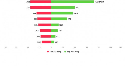 Một thế lực đang âm thầm "gom" VPB và TCB khi thị trường chứng khoán lao dốc