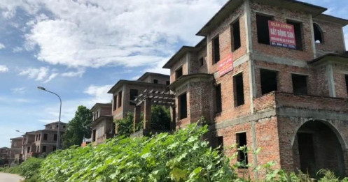 Đánh thuế đất bỏ hoang, đừng phạt nhầm người