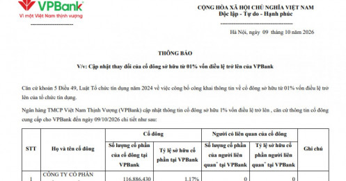 Lộ diện cái tên vừa sở hữu hơn 1% vốn VPBank, danh mục tự doanh lớn nhất ngành có gì?