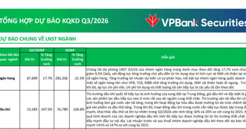 Bức tranh lợi nhuận ngân hàng quý III: HDBank dẫn đầu, nhà băng nào bất ngờ “cài số lùi”?