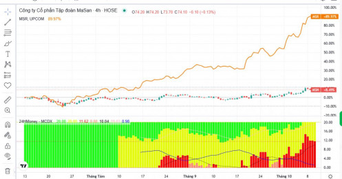 J.P. Morgan đặt cược MSN lên 110.000 đồng