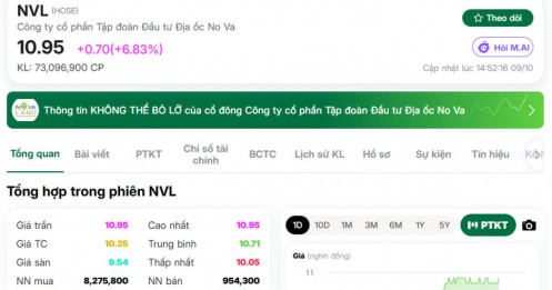 Dòng tiền lớn đang quay lại NVL?