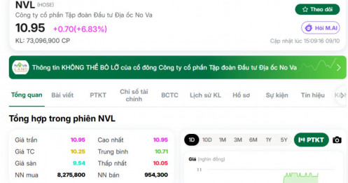 PNJ, NVL đồng loạt “tím lịm”: Dòng tiền lớn trở lại?