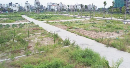 Thuế đất bỏ hoang 0,2% khó chặn sóng đầu cơ