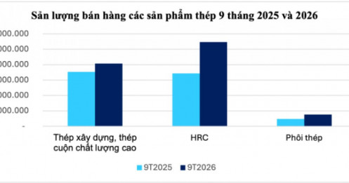Hòa Phát tiêu thụ hơn 10,3 triệu tấn thép trong 9 tháng, tăng trưởng 39%