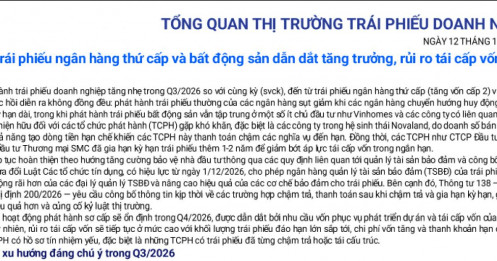 VIS Rating cảnh báo: Bài toán trái phiếu của Novaland vẫn chưa hết áp lực
