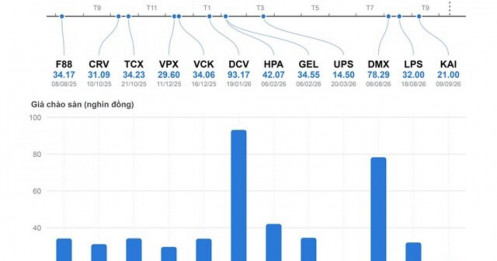 Cổ phiếu IPO nhanh hơn nhưng gần 75% số mã giảm trong năm đầu