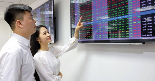 Cơ hội nào cho PDR và VNM?
