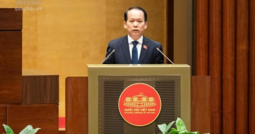 Dự án Luật Đấu giá tài sản (sửa đổi): Đề xuất tăng tiền đặt trước để ngăn bỏ cọc và trục lợi đấu giá