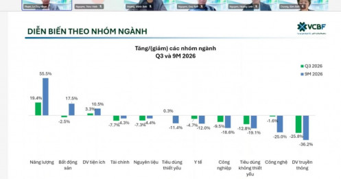 Cá mập nói gì khi PNJ giảm sâu chưa từng thấy?