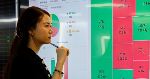 Cổ phiếu giảm giá có thực sự là món hời?