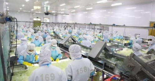 Một “ông lớn” thực phẩm bị phạt hàng trăm triệu đồng, hé lộ chênh lệch lợi nhuận gây choáng