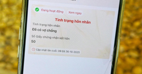 Vì sao đã ly hôn nhưng VNeID vẫn hiển thị 'đang có vợ chồng'?