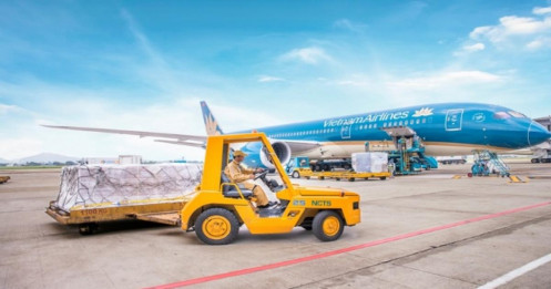 Lãi ròng NCT giảm 14% trong quý 3 dù doanh thu tăng mạnh