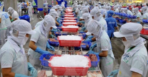 ANV: Lợi nhuận giảm 27%, nhưng biên lợi nhuận đã bắt đầu hồi phục?
