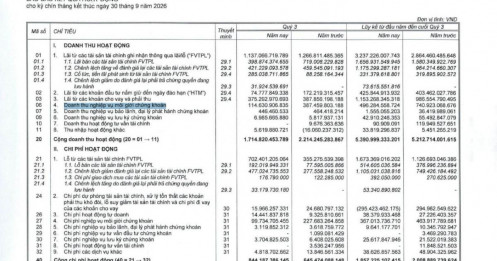 Doanh thu môi giới VNDirect bốc hơi 70%?