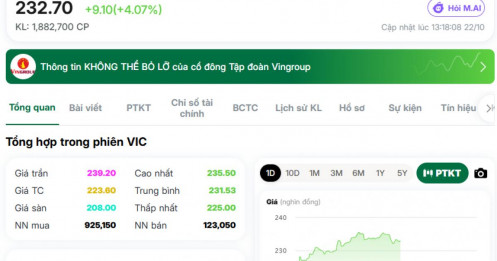Cổ phiếu VIC lại thăng hoa, VNIndex được tiếp sức