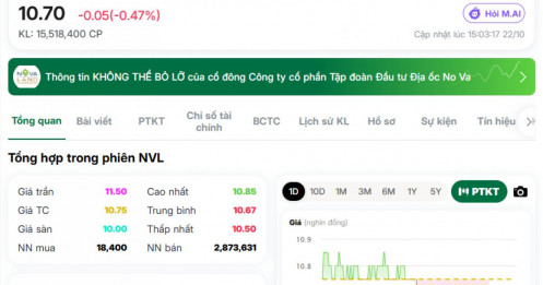 Lợi nhuận khởi sắc, vì sao NVL vẫn chịu áp lực tài chính