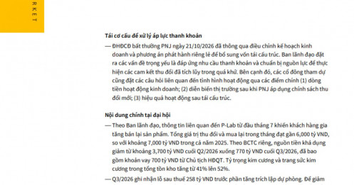 Điều gì đang gây áp lực lên PNJ?