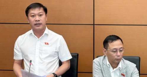 Một lần vượt đèn đỏ bằng 83% thu nhập tháng