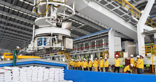 Thuế phân bón về 0%, cổ phiếu nào hưởng lợi?
