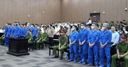 Kịch bản 'hoàn hảo' của Mr Pips khiến hàng nghìn người mắc bẫy 'lừa đảo'