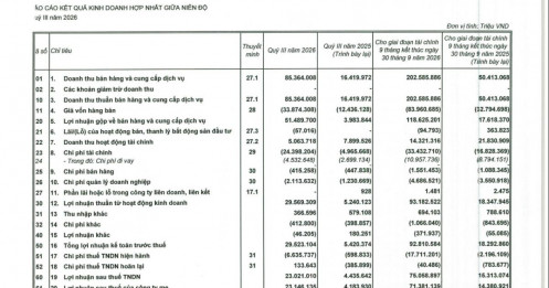 Vinhomes (VHM) báo lãi 9 tháng kỷ lục hơn 75.000 tỷ đồng, vượt 25% kế hoạch cả năm