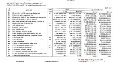 Cú trượt giá VIB khiến khoản lãi của REE "bốc hơi" hàng trăm tỷ