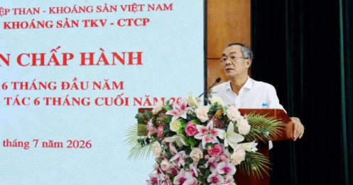 Tổng Giám đốc Vimico bị khởi tố