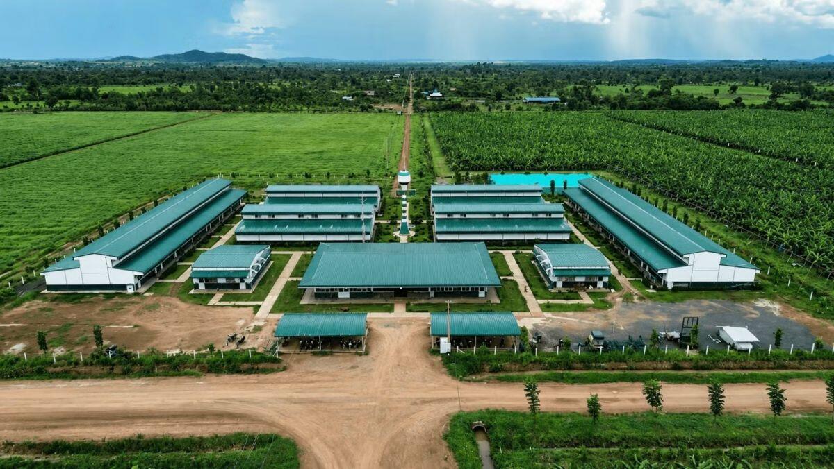 Cuộc đua nghìn tỷ trên ruộng đồng