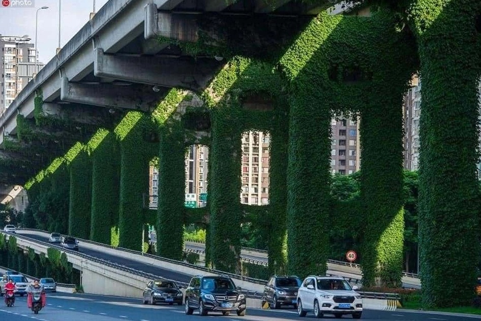 Các đô thị trên thế giới phủ xanh công trình giao thông thế nào?