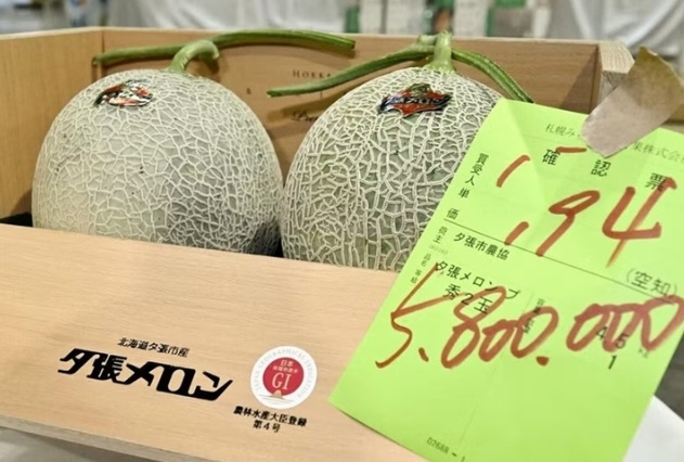 Bên trong cặp dưa lưới gần 1 tỷ đồng: Có gì mà giới siêu giàu tranh nhau mua?