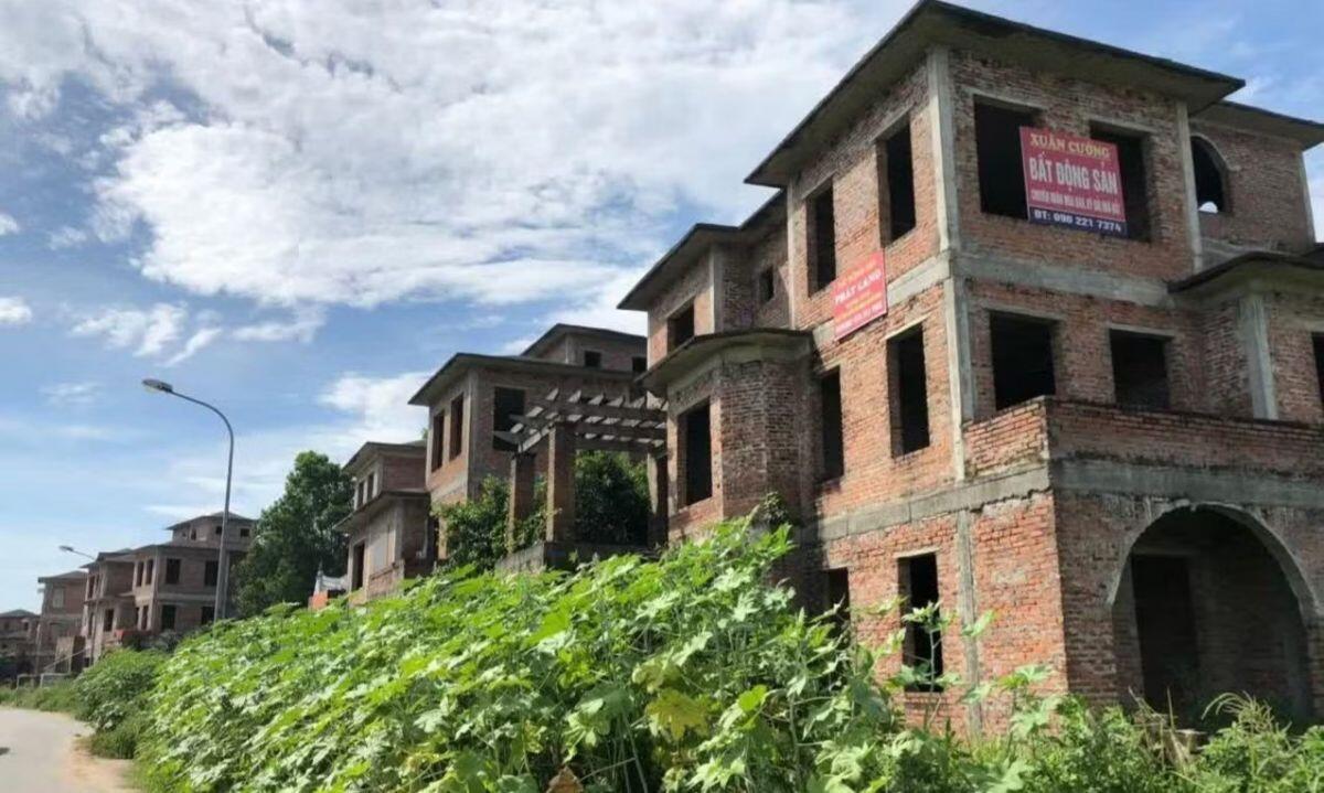 Đánh thuế đất bỏ hoang, đừng phạt nhầm người